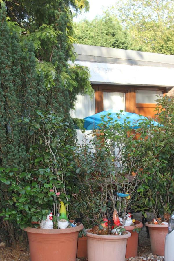 Ferienwohnung Fellnasen Wg Krefeld Exteriér fotografie