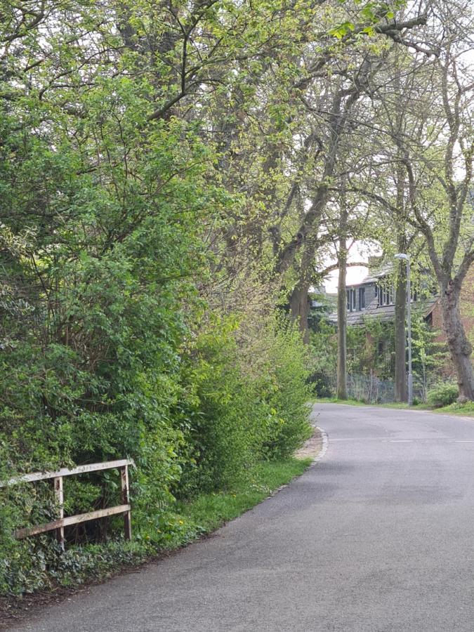 Ferienwohnung Fellnasen Wg Krefeld Exteriér fotografie